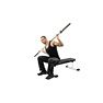 Barbell Side Bends