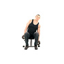 Seated Dumbbell Side Bends