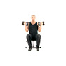 Seated Dumbbell Curl