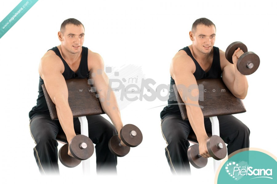 Alternate Dumbbell Hammer Preacher Curl