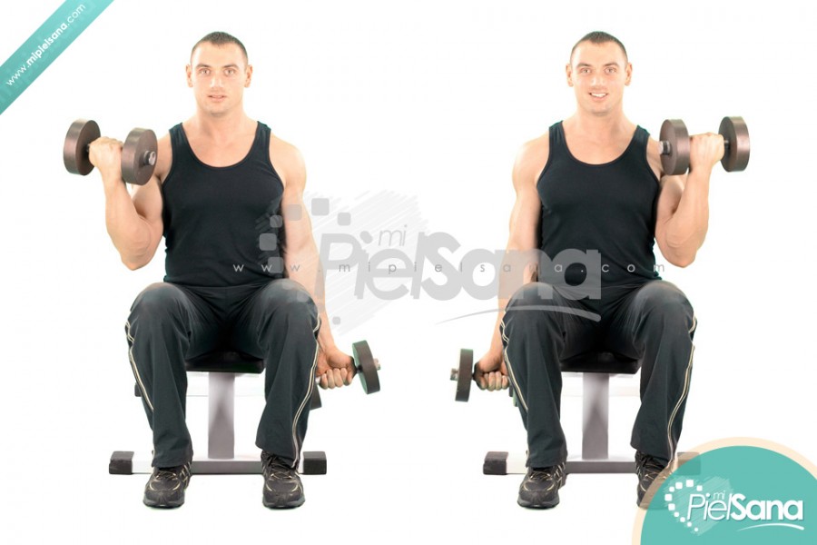 Alternate Seated Dumbbell Curl