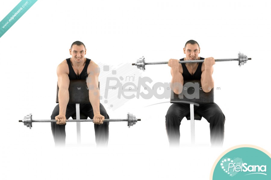 Barbell Preacher Curl