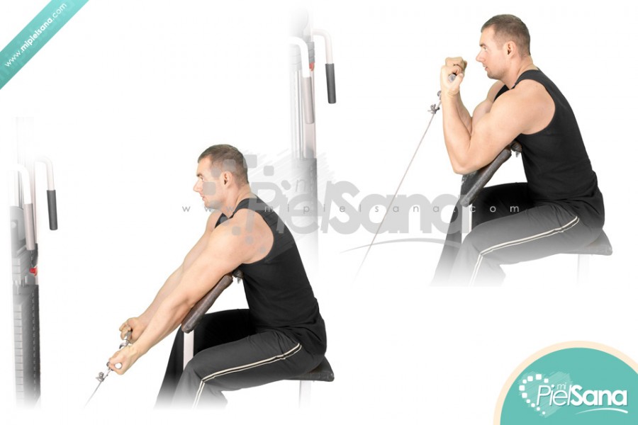 Cable Preacher Curl