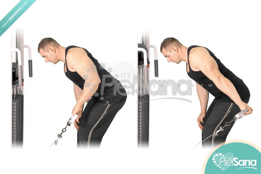 Cable Tricep Kickback