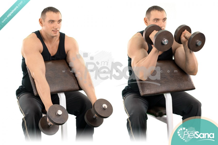 Dumbbell Hammer Preacher Curl