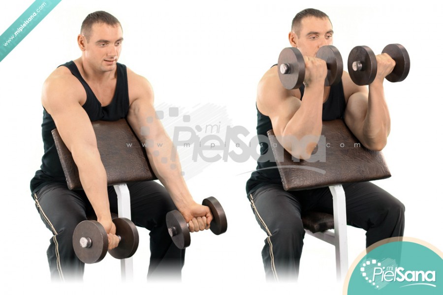 Dumbbell Preacher Curl