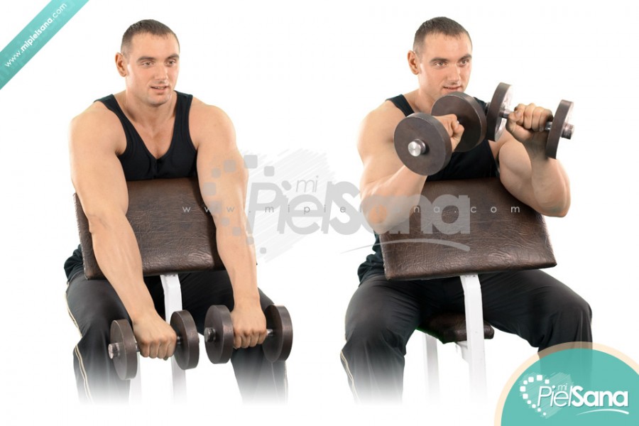 Dumbbell Reverse Preacher Curl
