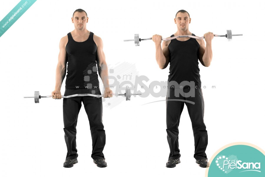 EZ Bar Curl