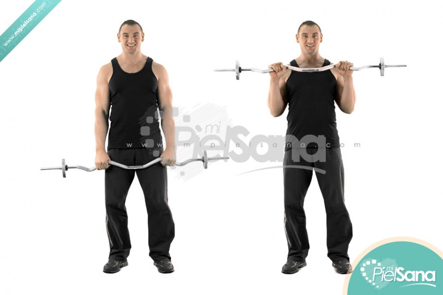 EZ Bar Reverse Grip Barbell Curl