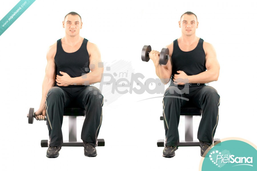 One Arm Seated Dumbbell Curl