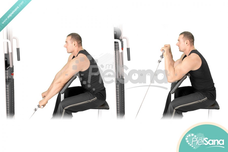 Reverse Cable Preacher Curl