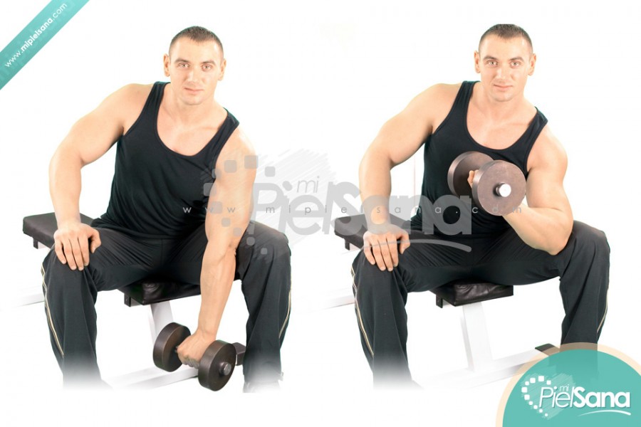Reverse Concentration Curl