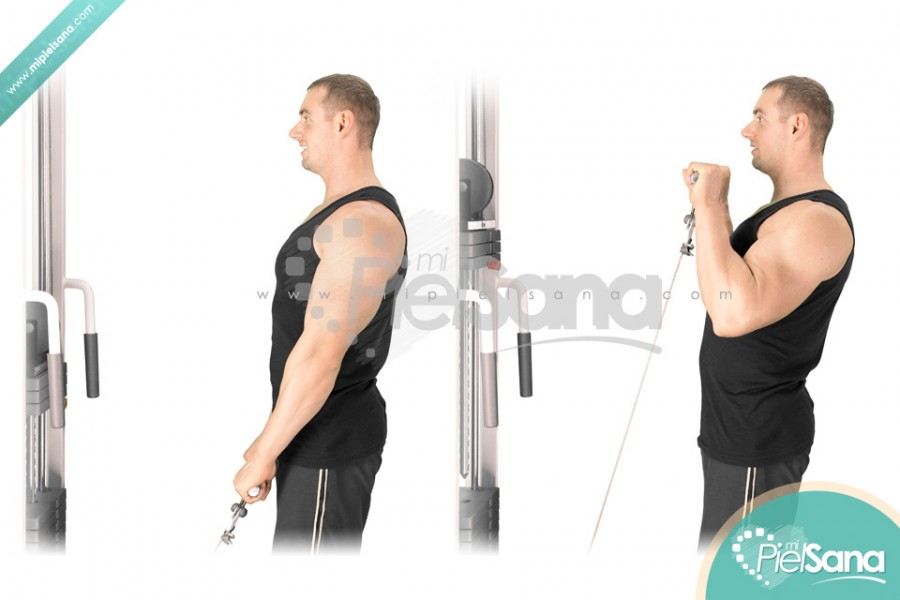 Reverse Grip Cable Curl