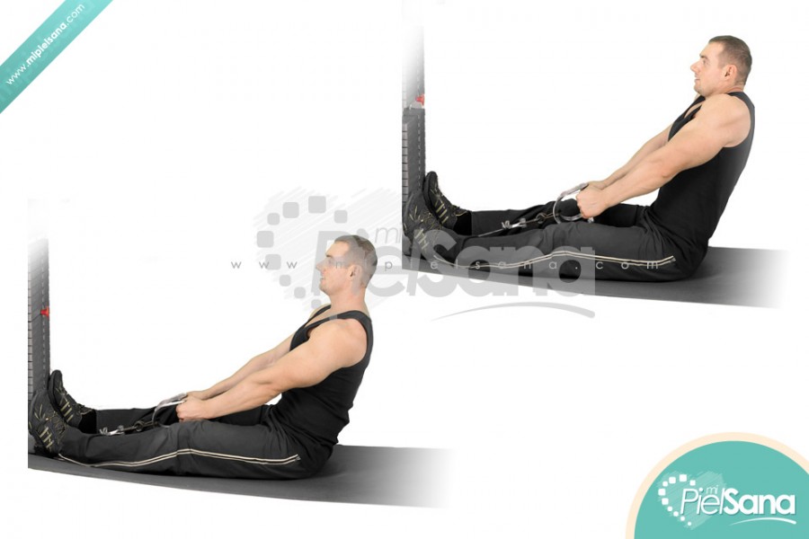 Seated Cable Shrug