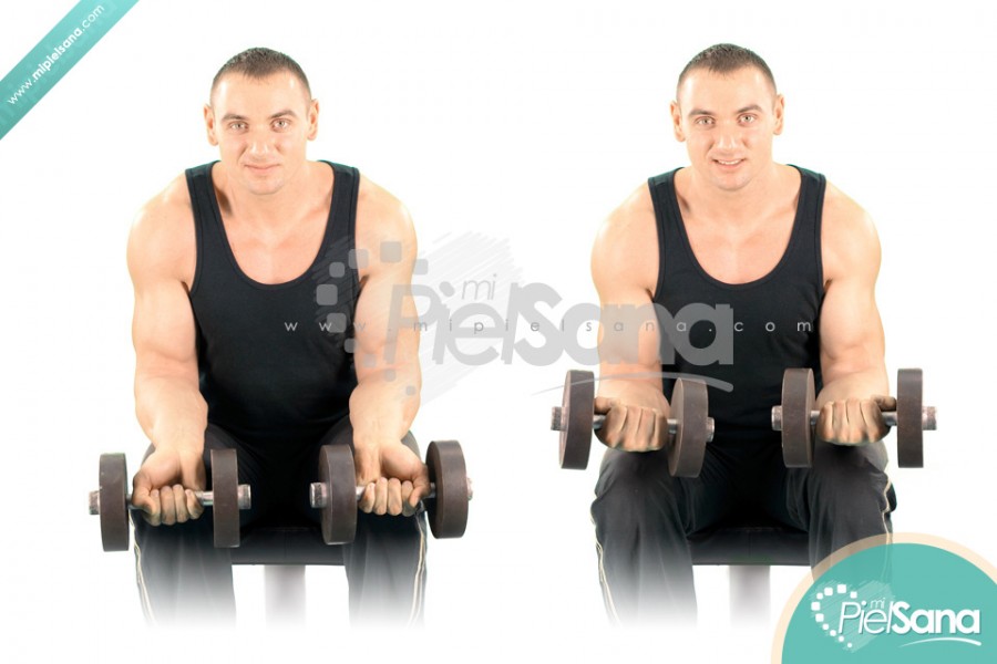 Seated Dumbbell Wrist Curl
