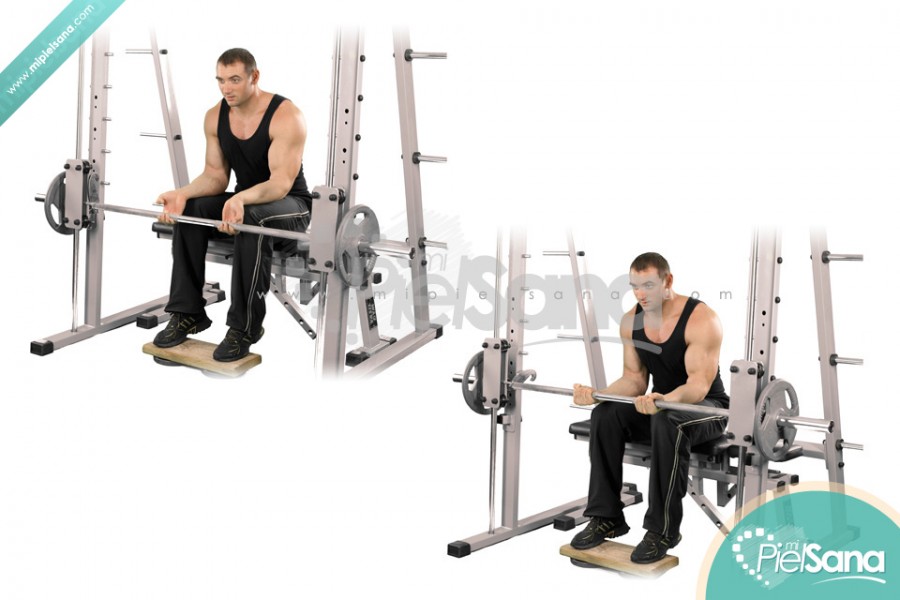 Smith Machine Seated Wrist Curl