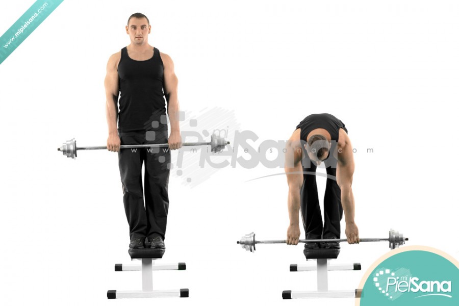 Stiff Leg Deadlift On Bench