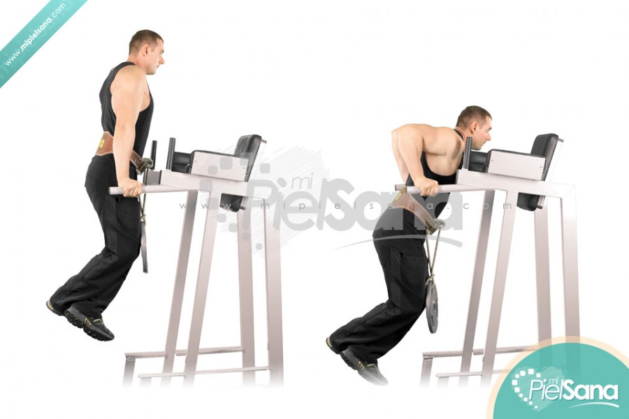 Weighted Tricep Dips