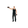 Alternate Dumbbell Lateral Raise