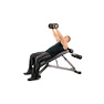 Dumbbell Front Raise On Incline Bench