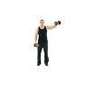 One Arm Dumbbell Lateral Raise