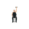 One Arm Seated Dumbbell Press
