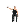 Seated Alternate Dumbbell Lateral Raise