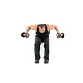 Seated Bent Over Dumbbell Reverse Fly