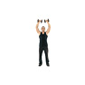 Standing Arnold Press