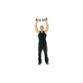 Standing Dumbbell Press