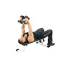 Lying Dumbbell Extension