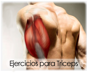 Ejercicios para Triceps