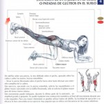 Extensión de la cadera en el suelo o patada de glúteos